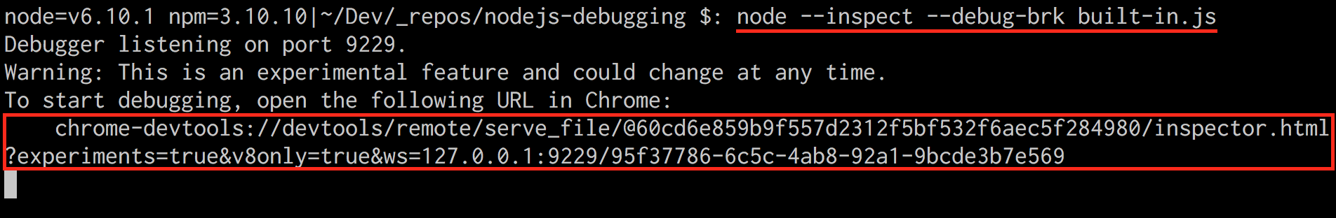 Node.js built-in inspector start in terminal