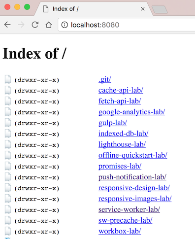 The web page of the index for the Google PWA labs